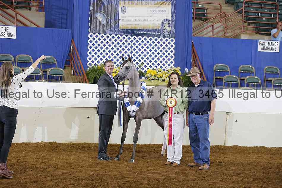 Proof 14r12_3465