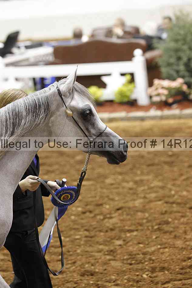 Proof 14r12_3466