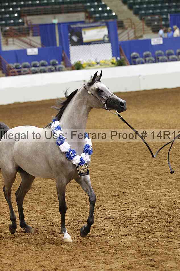 Proof 14r12_3470