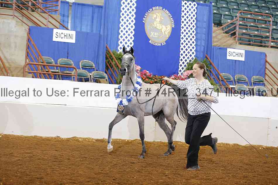 Proof 14r12_3471