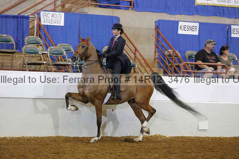 Proof 14r12_3476