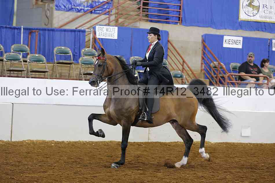Proof 14r12_3482
