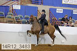 14r12_3483 proof