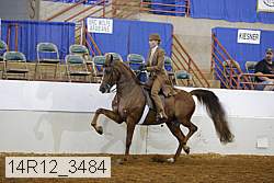 14r12_3484 proof