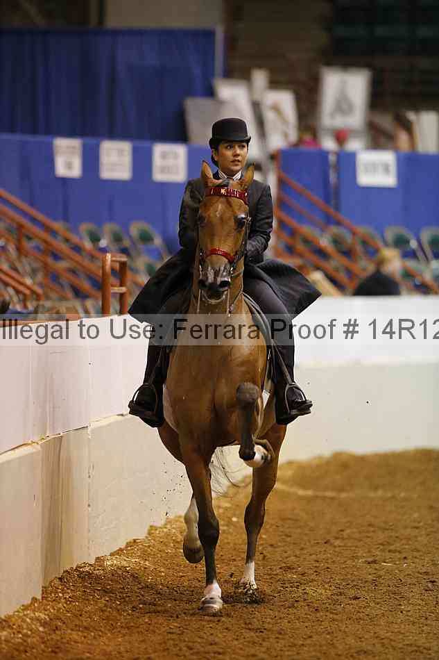 Proof 14r12_3487