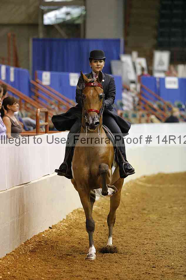 Proof 14r12_3488