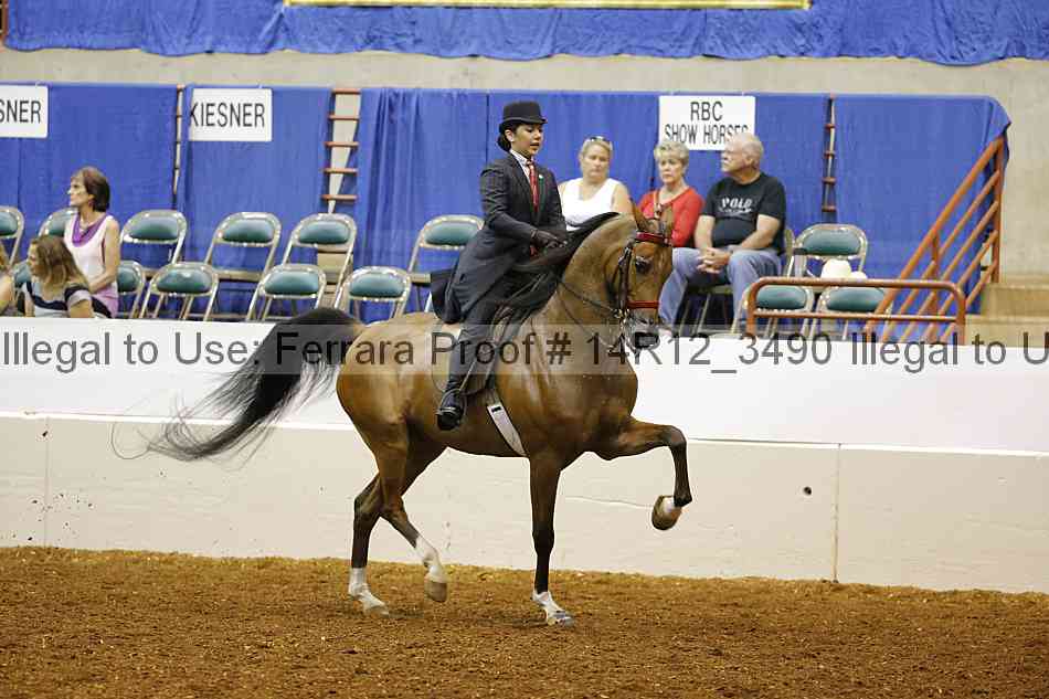 Proof 14r12_3490
