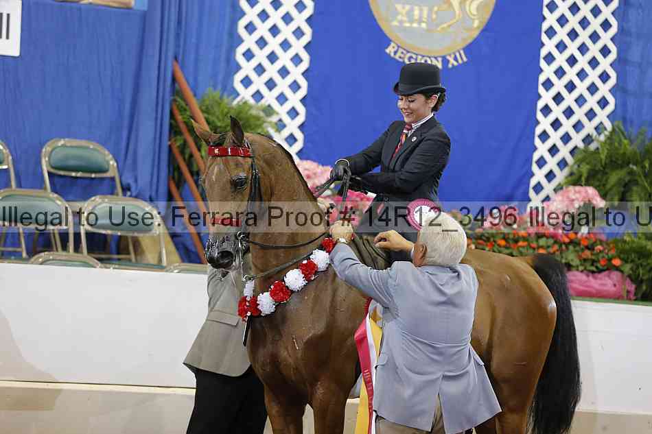 Proof 14r12_3496