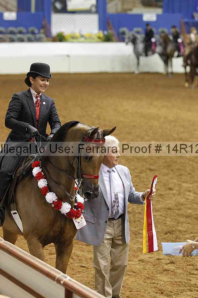 Proof 14r12_3497