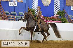 14r12_3505 proof