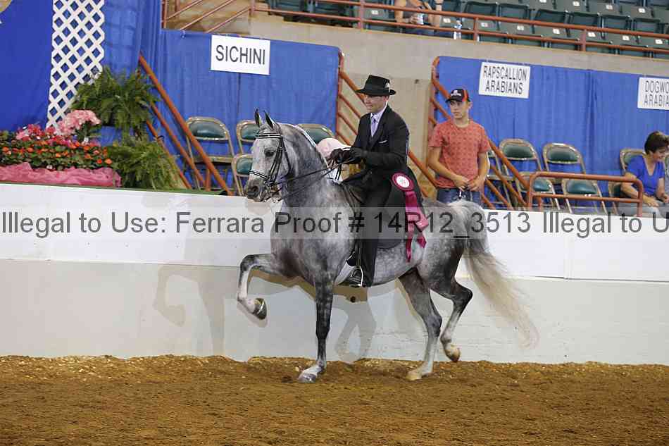 Proof 14r12_3513