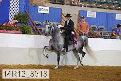 14r12_3513 proof
