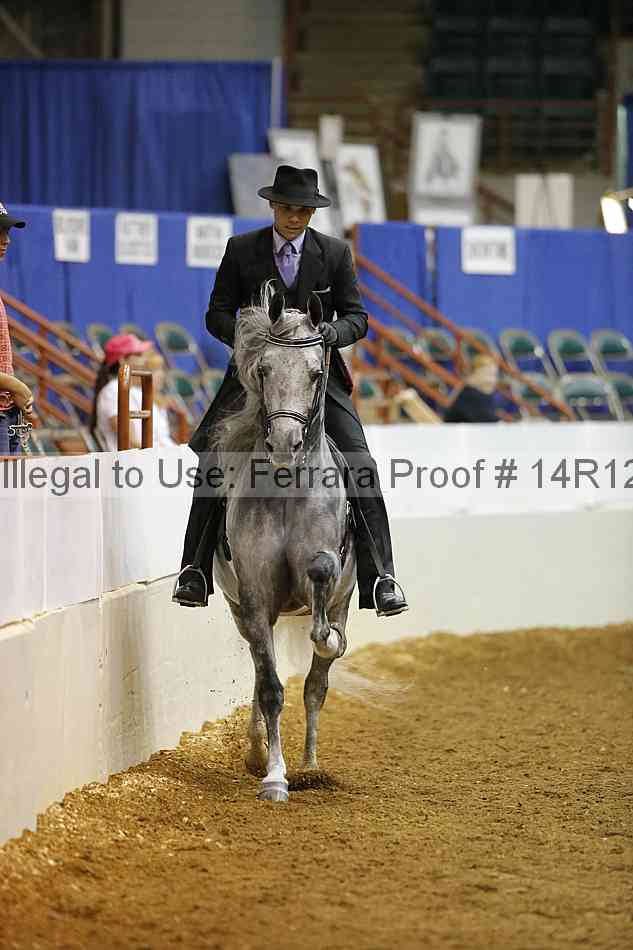 Proof 14r12_3515