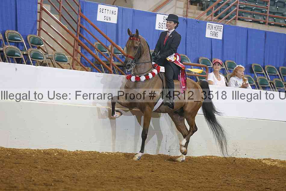 Proof 14r12_3518