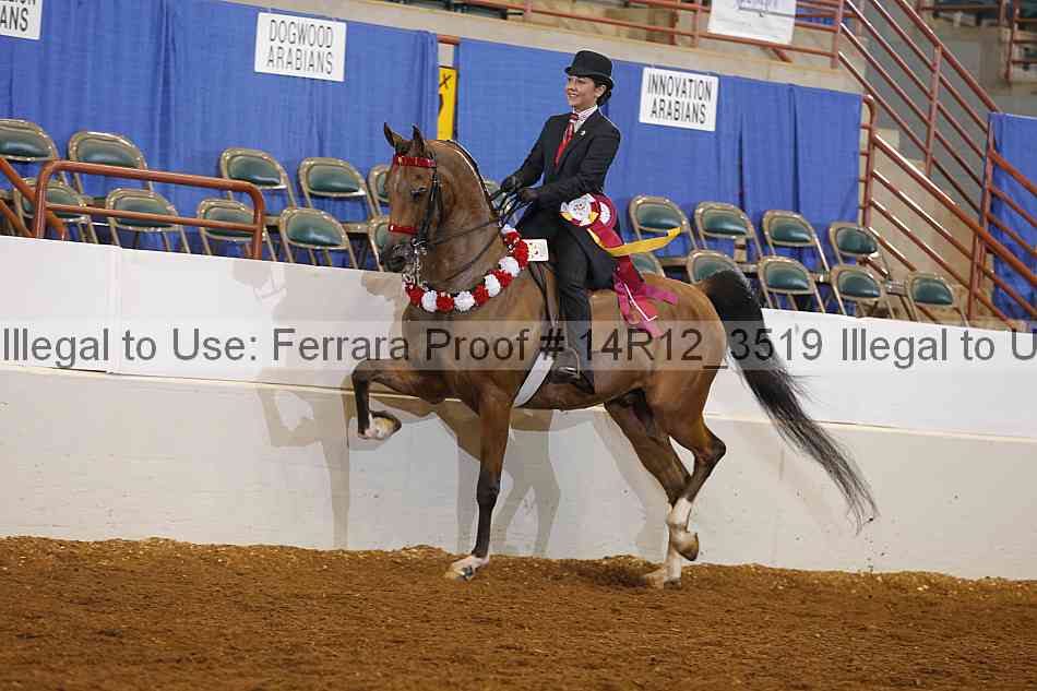Proof 14r12_3519