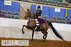 14r12_3523 proof