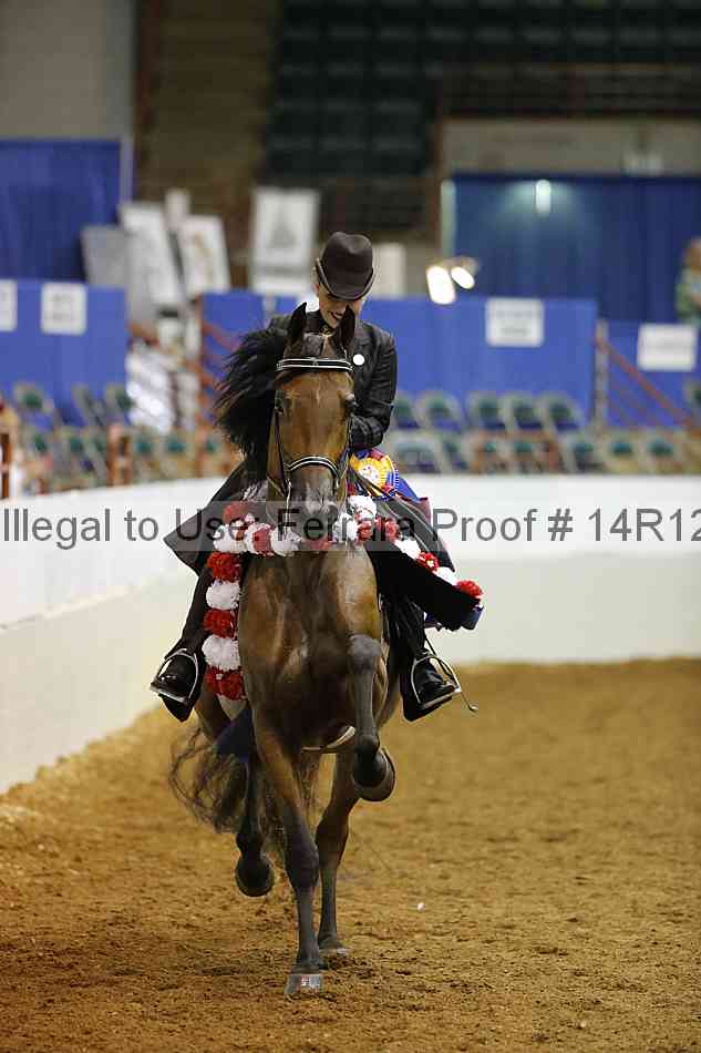 Proof 14r12_3528