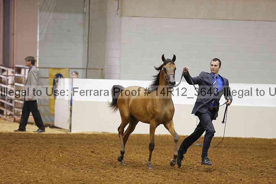 Proof 14r12_3643