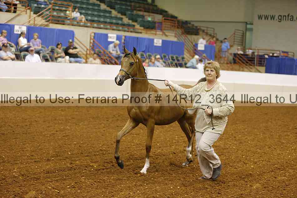 Proof 14r12_3644