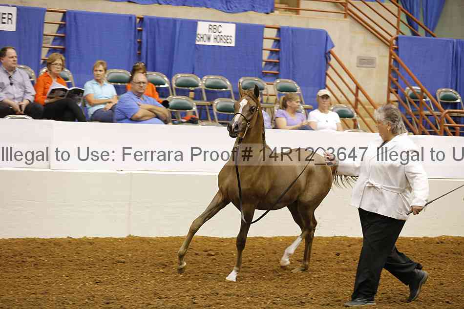 Proof 14r12_3647