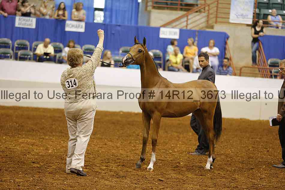 Proof 14r12_3673