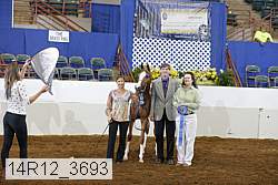 14r12_3693 proof