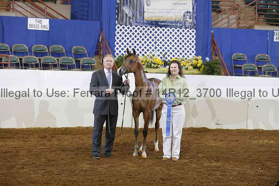 Proof 14r12_3700