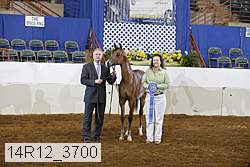 14r12_3700 proof