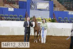 14r12_3701 proof