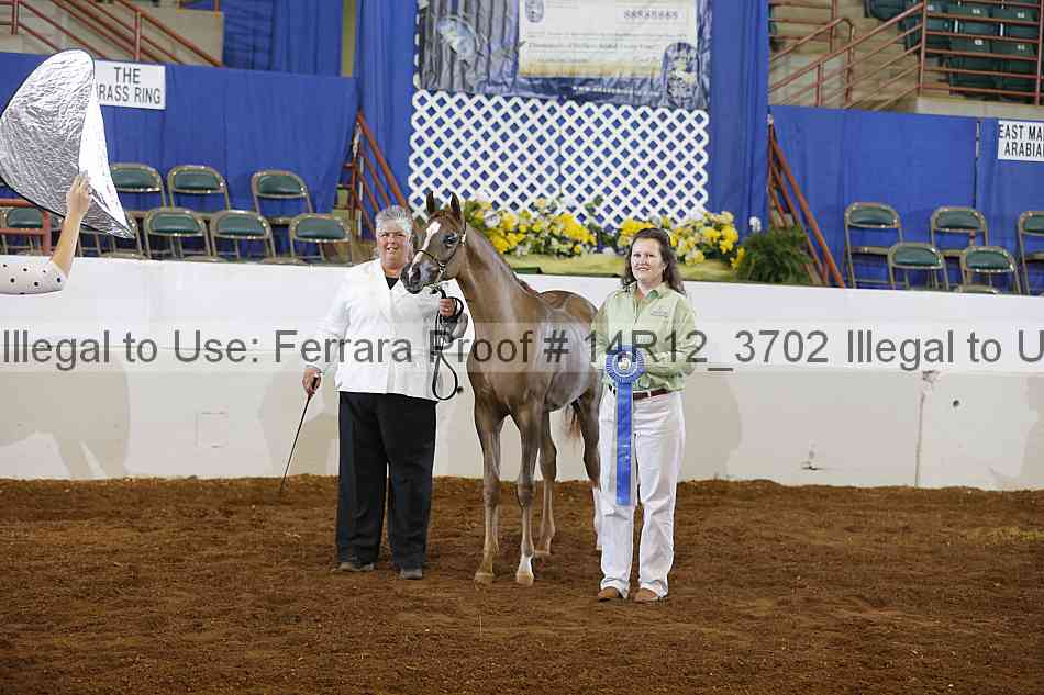 Proof 14r12_3702
