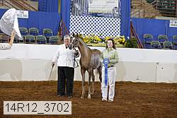 14r12_3702 proof