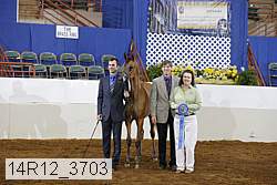 14r12_3703 proof
