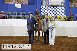14r12_3704 proof