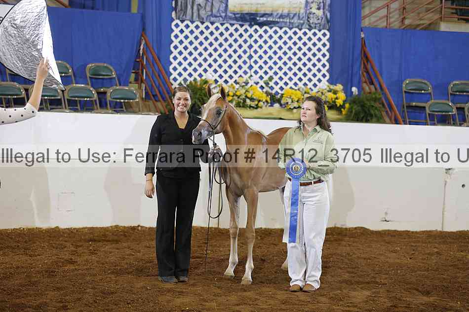 Proof 14r12_3705