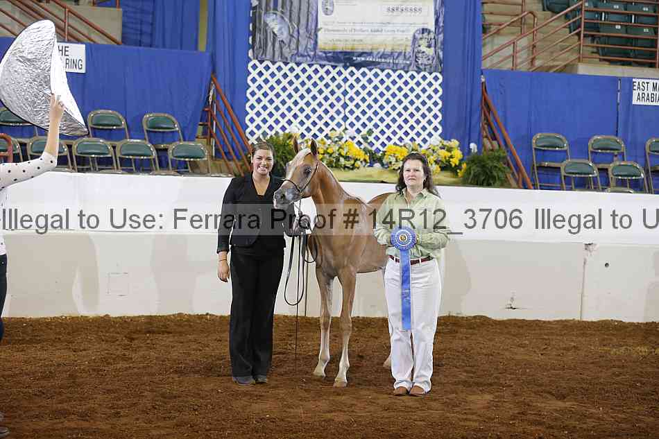 Proof 14r12_3706