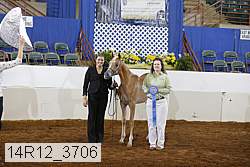 14r12_3706 proof
