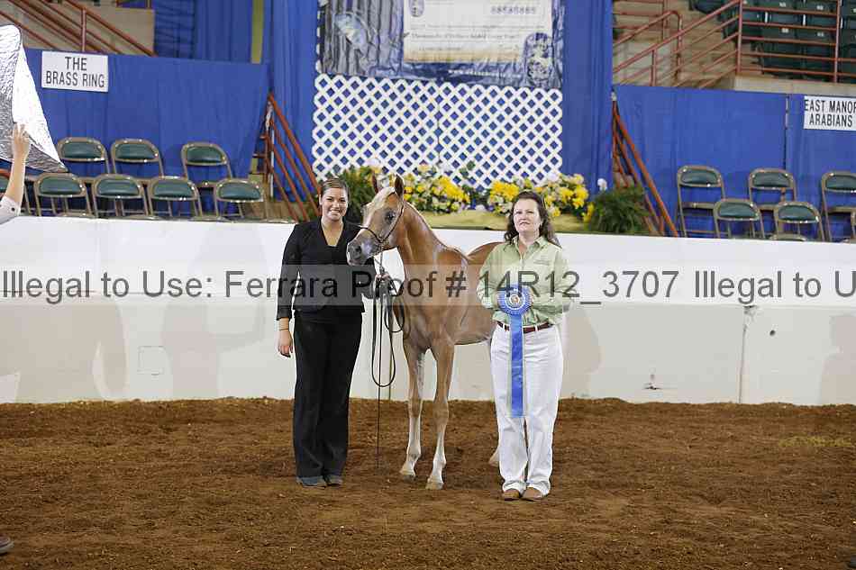 Proof 14r12_3707