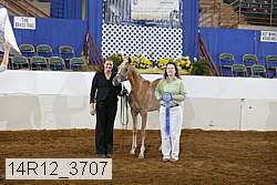 14r12_3707 proof