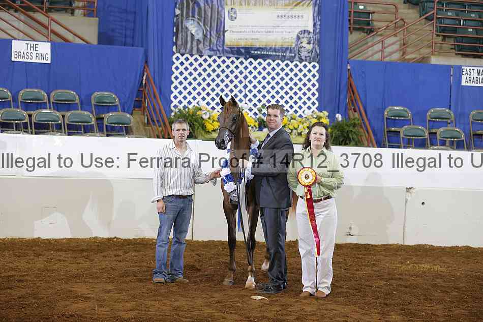 Proof 14r12_3708