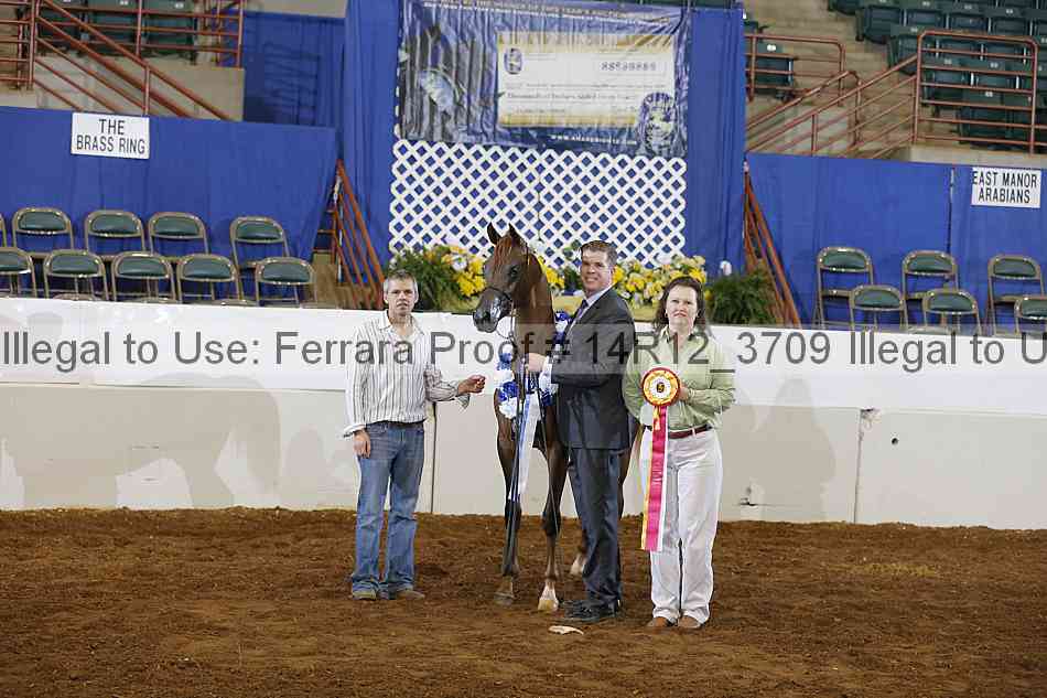 Proof 14r12_3709