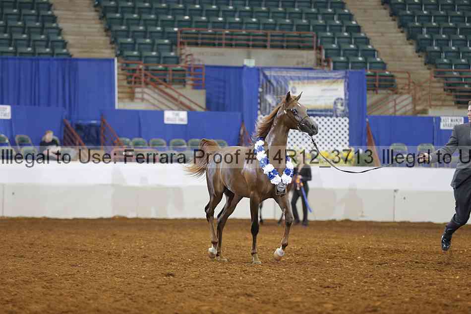 Proof 14r12_3713