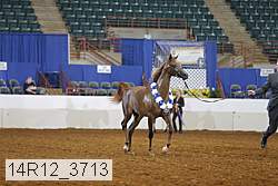 14r12_3713 proof