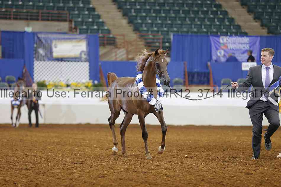 Proof 14r12_3714
