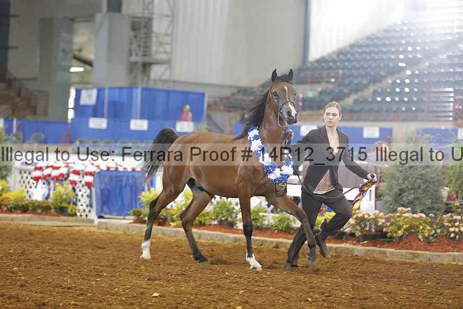 Proof 14r12_3715