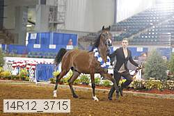 14r12_3715 proof