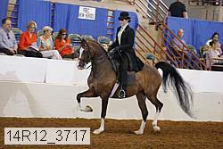 14r12_3717 proof