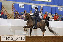 14r12_3718 proof