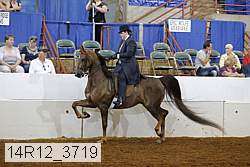 14r12_3719 proof