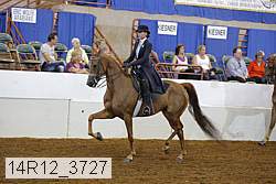 14r12_3727 proof