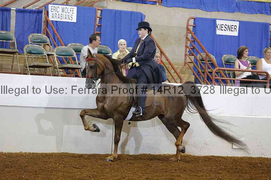 Proof 14r12_3728